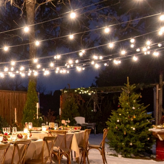 Professional-Grade LED String Lights