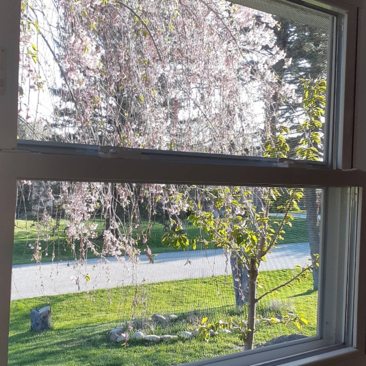 Window Cleaning Rochester Hills, MI