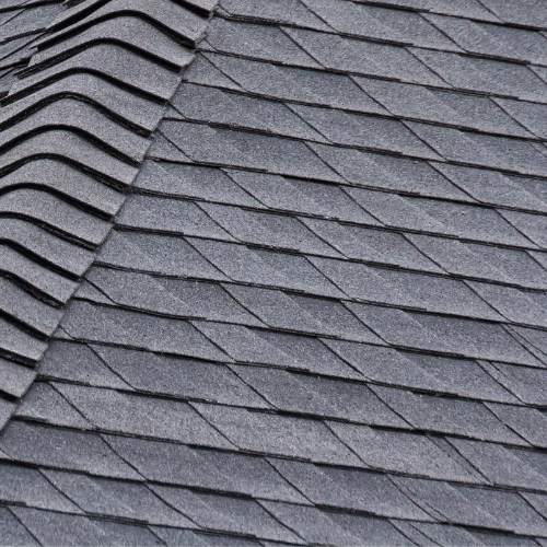 Asphalt Shingle Roof
