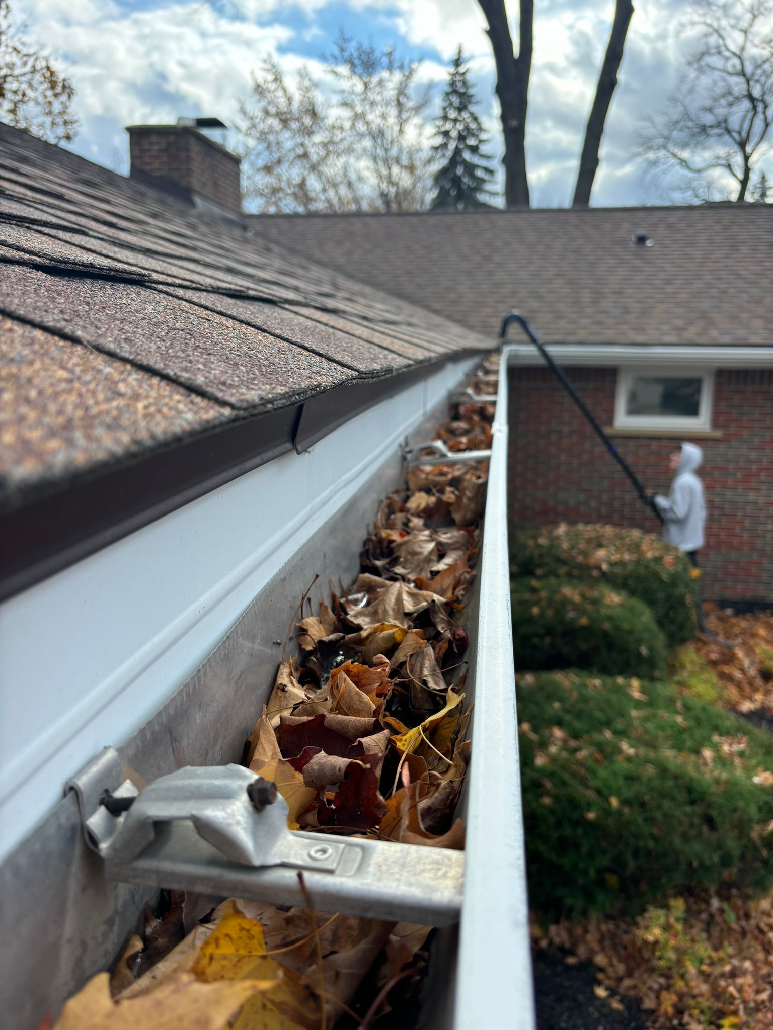 gutter cleaning