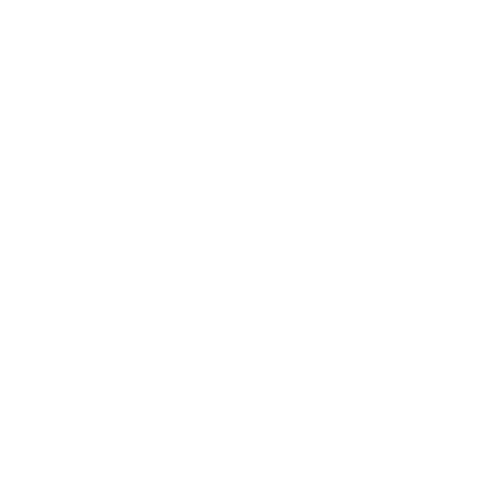 Icon Award