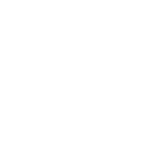 Icon Professionals