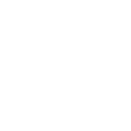 Icon Safety